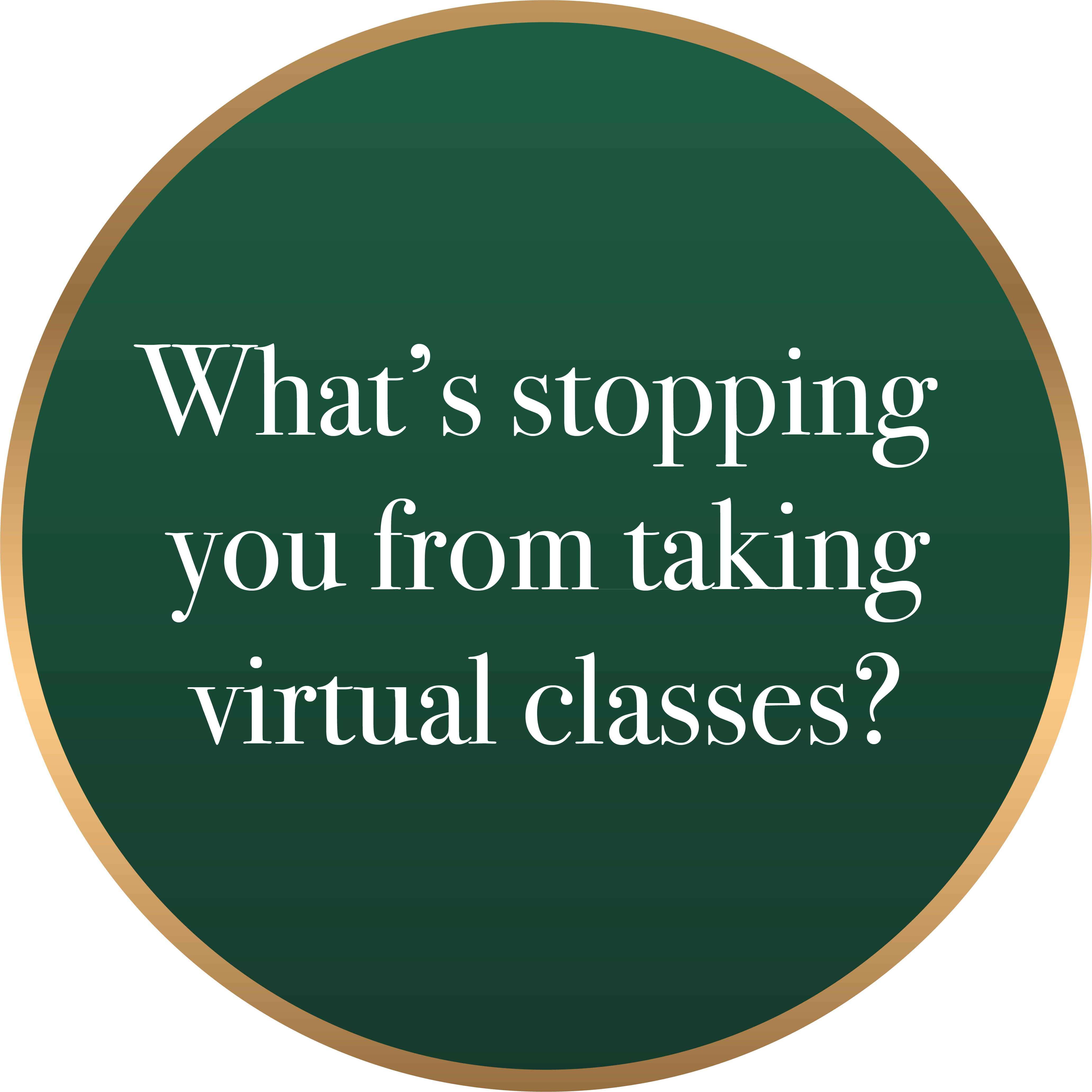 What's stopping you from taking virtual classes?